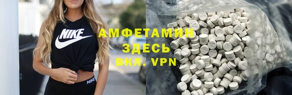 шишки Медвежьегорск