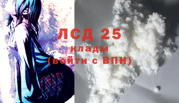 спайс Алзамай